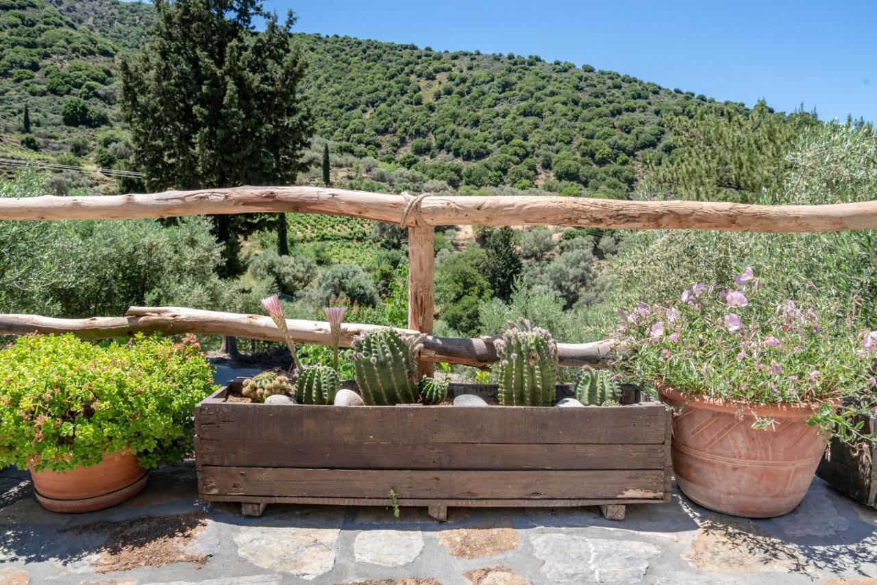 Cretan Nature Villa Alexandra 자로스 외부 사진